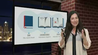 Prenatal Genetic Screening 101 2024