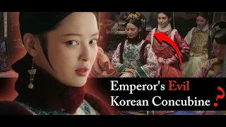 Was Imperial Noble Consort Jia Really the Villain Qianlongs Court