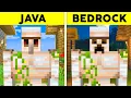 30 Minecraft Java vs Bedrock Differences