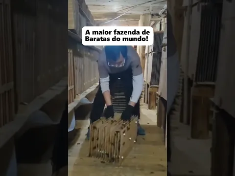 COISAS QUE VOCÊ PRECISA VER ANTES DE MORRER! 😮😥