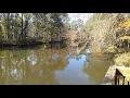 Hike Summary Chehaw Park in Albany Georgia