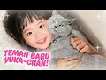 Download Lagu YUKA-CHAN ADOPSI BANYAK KUCING! | a day in our life