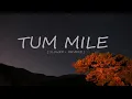 Download Lagu Tum Mile | [ SLOWED + REVERB ]