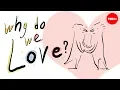 Download Lagu Why do we love? A philosophical inquiry - Skye C. Cleary