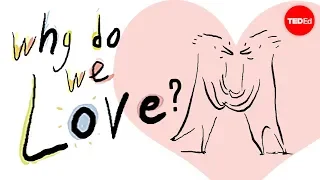why do we love a philosophical inquiry skye c cleary