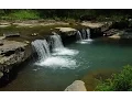 Lagu 100% RELAX EN FORÊT | Cascade Rivière Oiseaux | Anti-Dépression Stress Anxiété | Sommeil Réparateur