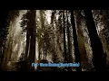 Fink - Warm Shadow (Dactyl Remix) (Featured @ The Walking Dead)