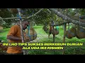 Download Lagu KISAH SUKSES BERKEBUN DURIAN PREMIUM DI SUMATRA BARAT..
