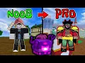 How to LEVEL UP FAST in the First Sea using DARK FRUIT in BLOX FRUITS LVL 1 to 741