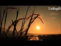 Download Lagu UNGU - Baik Dan Burukmu | Official Lirik Video Download Lagu UNGU - Baik Dan Burukmu | Official Lirik Video