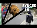In the news Teen shot in San Ramon strip search investigation 2026 World Cup mascots