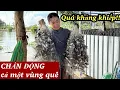 Download Lagu Tân Công Sính Cá Nhiều Khủng Khiếp • Hôm Nay Gặp Cảnh Chấn Động Cả Nhà Ơi | BLĐT