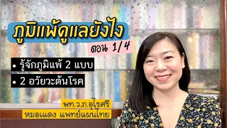 อวัยวะใดสำคัญที่สุดในการดูแลอาการภูมิแพ้ และทำไม