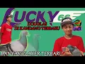 Download Lagu REVIEW🔥 KANDANG BARU \u0026 PLAYER TERBARU DARI TEAM LUCKY66 YANG ADA DI PAGEDANGAN SERPONG ❤