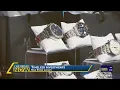 Timeless investments with Max Pawn Luxury