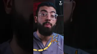 أفضل 3 مكملات لتقوية الاعصاب 