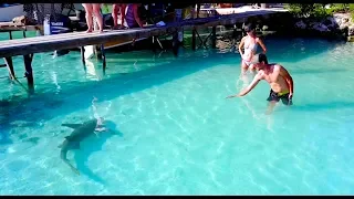 Last stop in Tuamotu – Fakarava / Sailing Aquarius #37