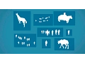 Custom Shape Libraries CtrlPaint com