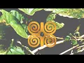 Nicola Cruz - Espirìtu (teaser)