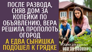 Истории из жизни: После развода, сняв дом за копейки, Вера решила прополоть огород… А едва сынишка…