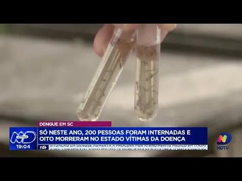 Emergência de Saúde Pública: dengue faz oito vítimas em SC e governo amplia medidas de combate