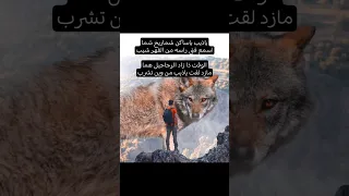 ياذيب ياساكن شماريخ شمااسمع فتى راسه من القهر شيبالوقت ذا زاد الرجاجيل همامازد لقت ياذيب من وين تشرب  ياذيب ياساكن شماريخ شمااسمع فتى راسه من القهر شيبالوقت ذا زاد الرجاجيل همامازد لقت ياذيب من وين تشرب