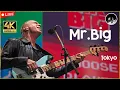 Download Lagu Mr. Big  ✪  The Big Finish Live 2023  |  Full Show (4K)