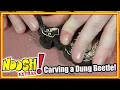 Download Lagu Noosh! Extras: Tiny Dung Beetle Carving!