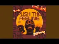Download Lagu MEGA PUSH THE FEELING