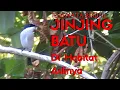 Lagu SUARA PIKAT / MASTERAN JINJING BATU UNTUK MURAI BATU / KACER