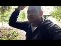 Download Lagu Wisata alam liang saragi