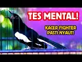 Download Lagu TES MENTAL! KACER FIGHTER PASTI NYAUT!
