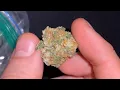 Ice Cream Cake Strain Review