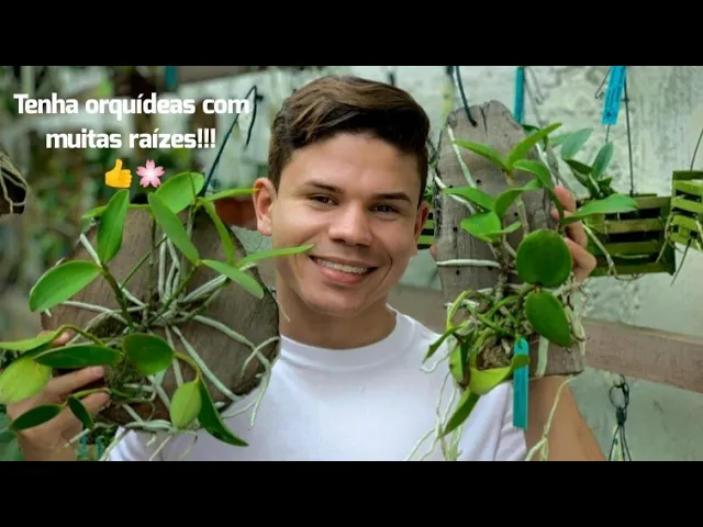 COMO FAZER UMA ORQUÍDEA ENRAIZAR? DICA DE ADUBO