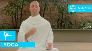 Aprenda a Meditação Natha | Monge Satyanatha