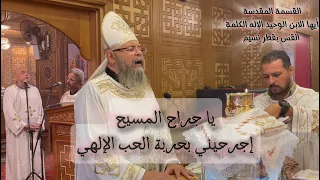 قسمة أيها الابن الوحيد يا جراح المسيح القس بقطر نسيم 