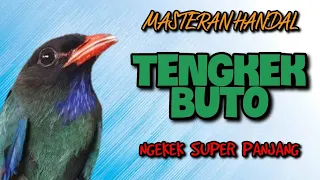 Download masteran tengkek buto nembak super panjang MP3