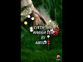 Download Lagu Cintai Aku Hingga Tua💓Amyla