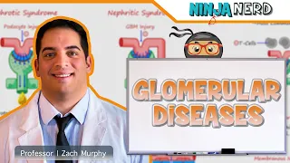 Glomerular Diseases | Clinical Medicine