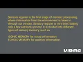 Module 10 Information Processing
