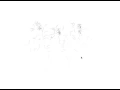 Processing Sketch