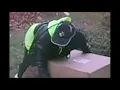 Person and Vehicle of Interest in Theft II 700 Upshur St NW on December 20 2019
