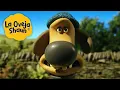 Lagu Perro grande🐑 La Oveja Shaun 🐑 Dibujos animados para niños
