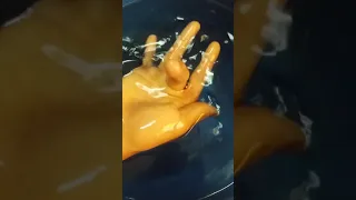 بعبوص نجى من الغرق دندنها