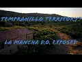 SPAIN S HUGE WINE REGION LA MANCHA D O