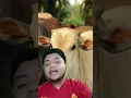 Download Lagu Lembu Boleh Menangis??