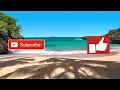Ocean Waves at the Beach and Soft Reggae Music