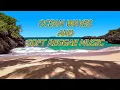 Download Lagu Ocean Waves at the Beach and Soft Reggae Music