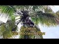 Download Lagu Ubud Bali Travel Vlog | The Coconut Man NYOMAN | Best Coconut Water | Kajeng Village Ubud Bali