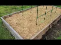 Mulching a Vegetable Garden That Was Overtaken By Weeds with EZ Straw - Here s How It Went